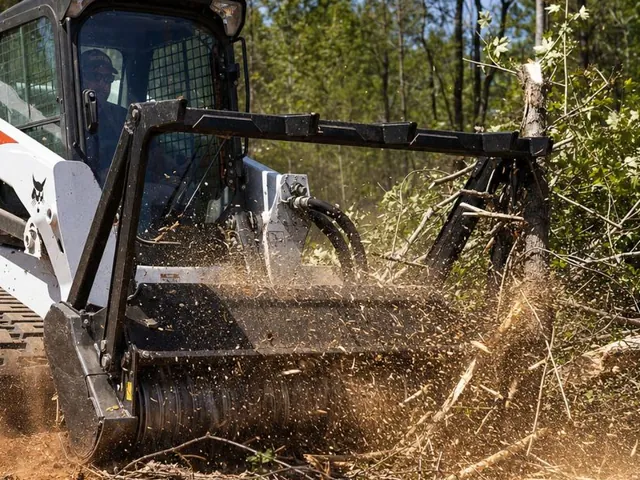 Thick brush and invasive vegetation being mulched by M310 skid steer