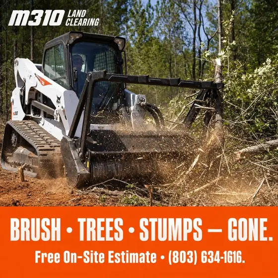 Skid steer mulching thick vegetation on a property